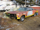 Super Bee