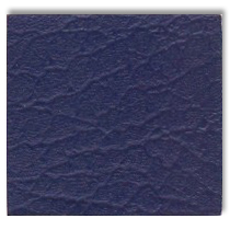 1971 CHARGER Vinyl Roofs