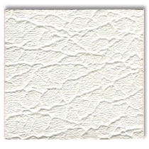 1971 CHARGER Vinyl Roofs