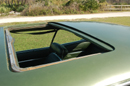 Super Bee