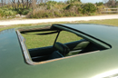 Super Bee