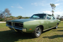 Super Bee