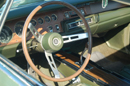 Super Bee
