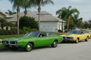 Super Bee