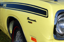 Super Bee