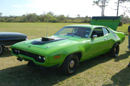 Super Bee