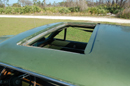 Super Bee